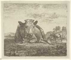 Free download Recumbent Cow, from Different Animals free photo or picture to be edited with GIMP online image editor