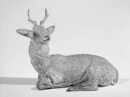 বিনামূল্যে ডাউনলোড করুন Recumbent deer বিনামূল্যে ছবি বা ছবি GIMP অনলাইন ইমেজ এডিটর দিয়ে সম্পাদনা করতে হবে