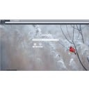 red bird  screen for extension Chrome web store in OffiDocs Chromium