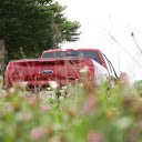 Red car on the grass  screen for extension Chrome web store in OffiDocs Chromium