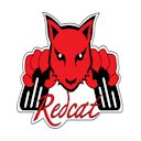 Redcat Competition Rc  screen for extension Chrome web store in OffiDocs Chromium