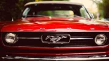 Free download red-ford-mustang-2560x1600-wallpaper-16879 free photo or picture to be edited with GIMP online image editor