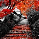 Red Leaf Beauty  screen for extension Chrome web store in OffiDocs Chromium