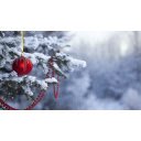 Red Ornament on Snowy Tree  screen for extension Chrome web store in OffiDocs Chromium