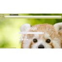 Red pandas  screen for extension Chrome web store in OffiDocs Chromium