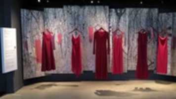 Free download Redress Project free photo or picture to be edited with GIMP online image editor