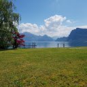 Red tree by the lake  screen for extension Chrome web store in OffiDocs Chromium