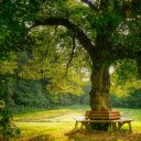 Relaxing green park  screen for extension Chrome web store in OffiDocs Chromium