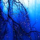 Relaxing Night Theme  screen for extension Chrome web store in OffiDocs Chromium
