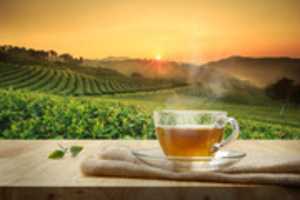Free download Relaxing Teas for Your Inner Health free photo or picture to be edited with GIMP online image editor