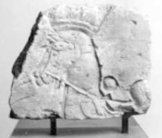 Free download Relief Depicting Heads and Chests of Two Horses free photo or picture to be edited with GIMP online image editor
