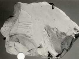Free download Relief fragment from Tomb of Meketre free photo or picture to be edited with GIMP online image editor