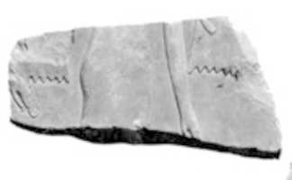 Free download Relief fragments from the tomb of Queen Neferu: male and female attendants see 26.3.353-1 free photo or picture to be edited with GIMP online image editor