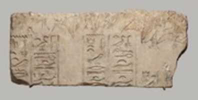 Free download Relief fragment with large scale vine and inscription referring to daughters of Akhenaten free photo or picture to be edited with GIMP online image editor