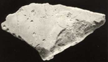 Free download Relief fragment with the head of a monkey free photo or picture to be edited with GIMP online image editor