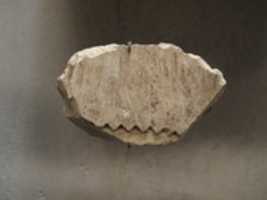 Free download Relief from the tomb of Queen Neferu: part of a sunshade (see 26.3.353-1) free photo or picture to be edited with GIMP online image editor