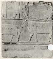 Free download Relief of female attendants and oxen - see 26.3.353-3 free photo or picture to be edited with GIMP online image editor