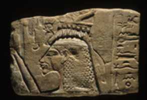 Free download Relief of Queen Nefertiti free photo or picture to be edited with GIMP online image editor