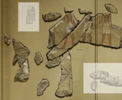 Free download Relief, tomb of Khety: hunters, clapnet - see 26.3.354-3 free photo or picture to be edited with GIMP online image editor