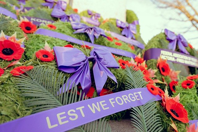 Libreng pag-download ng Remembrance Day Poppy Monument - libreng larawan o larawan na ie-edit gamit ang GIMP online na editor ng imahe