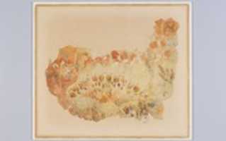 Free download Reproduction of a fresco with crocuses and violets free photo or picture to be edited with GIMP online image editor