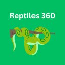 Reptiles360  screen for extension Chrome web store in OffiDocs Chromium