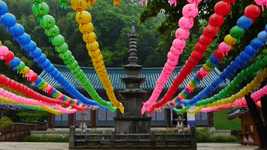 Free download Republic Of Korea Temple Buddha -  free video to be edited with OpenShot online video editor