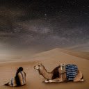 Rest in the desert  screen for extension Chrome web store in OffiDocs Chromium