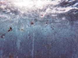 Free download Revuelto. free photo or picture to be edited with GIMP online image editor