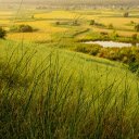 Rice drying color  screen for extension Chrome web store in OffiDocs Chromium Rice drying color  screen for extension Chrome web store in OffiDocs Chromium