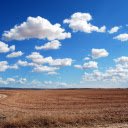 Rice fields  screen for extension Chrome web store in OffiDocs Chromium