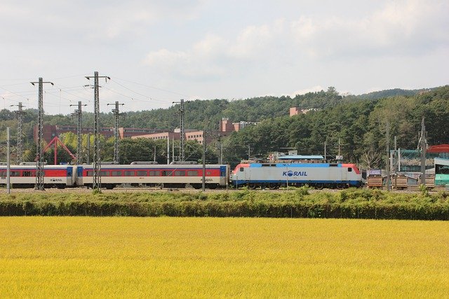 Free download rice paddy train railroad free picture to be edited with GIMP free online image editor