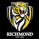 Richmond Tigers Theme  screen for extension Chrome web store in OffiDocs Chromium