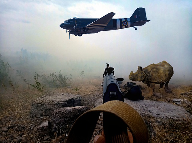 Free download rifleman aircraft fantasy landscape free picture to be edited with GIMP free online image editor