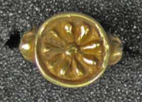 Free download Ring, Hollow Petal Shape free photo or picture to be edited with GIMP online image editor