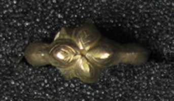Free download Ring in Quatrefoil Shape free photo or picture to be edited with GIMP online image editor