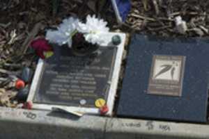 Free download R.I.P Bon Scott free photo or picture to be edited with GIMP online image editor