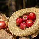 Ripe apple hat  screen for extension Chrome web store in OffiDocs Chromium