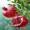 Ripe pomegranate branch wallpaper  screen for extension Chrome web store in OffiDocs Chromium