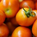 Ripe tomatoes  screen for extension Chrome web store in OffiDocs Chromium