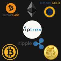 Free download riptrex free photo or picture to be edited with GIMP online image editor