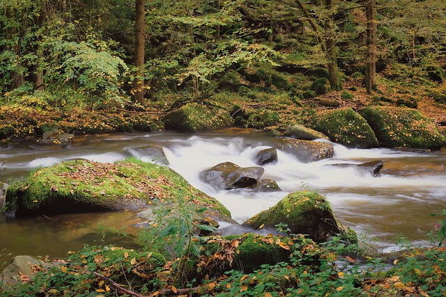Bezpłatne pobieranie jesiennych obrazów z biegu rzeki, które można edytować za pomocą bezpłatnego edytora obrazów online GIMP