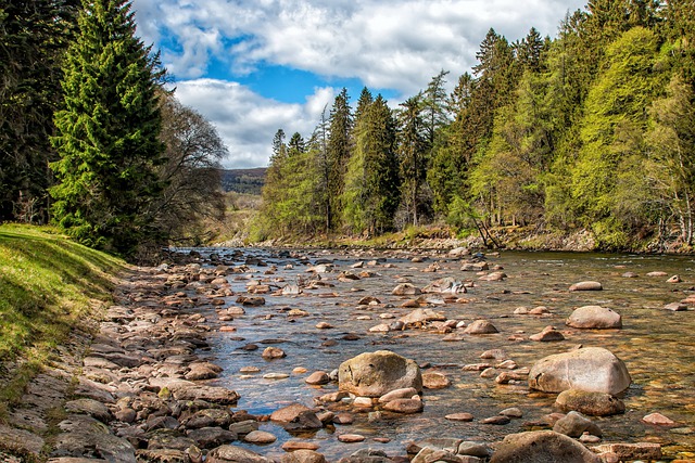 Free download river dee water stone shore free picture to be edited with GIMP free online image editor