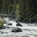 River in the Middle of Forest  screen for extension Chrome web store in OffiDocs Chromium