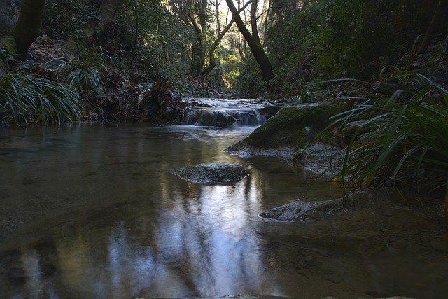 Free download river nature wilderness woods free picture to be edited with GIMP free online image editor