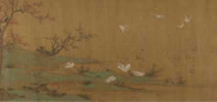 Free download River Scene with Birds and Bamboo free photo or picture to be edited with GIMP online image editor