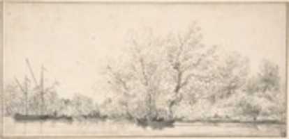 GIMPオンライン画像エディターで編集できる、密集した木々が茂った銀行前のボートのある川のシーンを無料でダウンロード