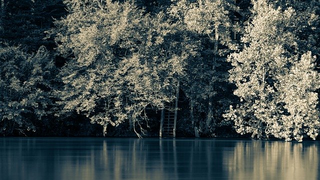 Free download river stepladder nature forest free picture to be edited with GIMP free online image editor