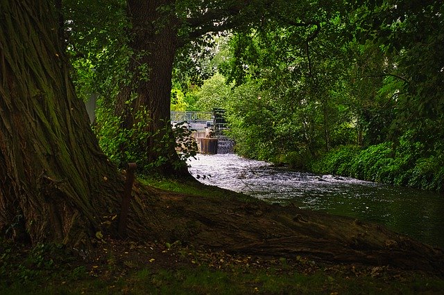 تحميل مجاني River Trees Waterwheel - صورة مجانية أو صورة ليتم تحريرها باستخدام محرر الصور عبر الإنترنت GIMP