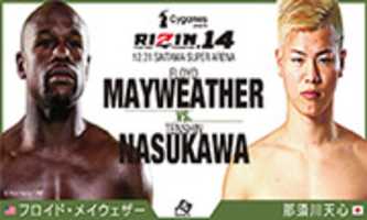 ดาวน์โหลดรูปภาพหรือรูปภาพ RIZIN ฟรีเพื่อแก้ไขด้วยโปรแกรมแก้ไขรูปภาพออนไลน์ GIMP